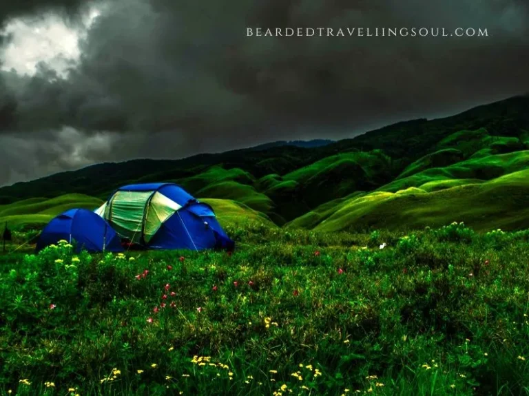 Camping in Dzukou Valley is always fun provide you follow the responsible way