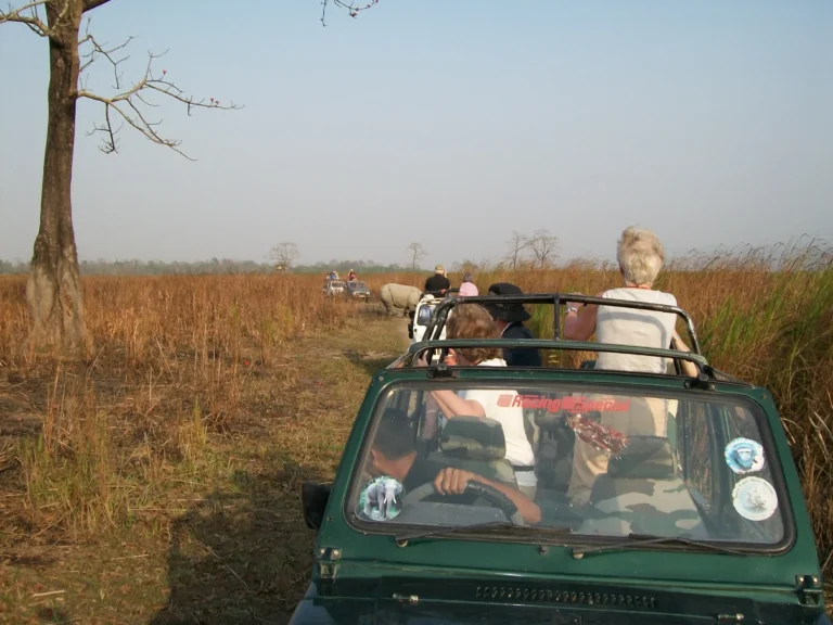 Northeast India Experience Wild