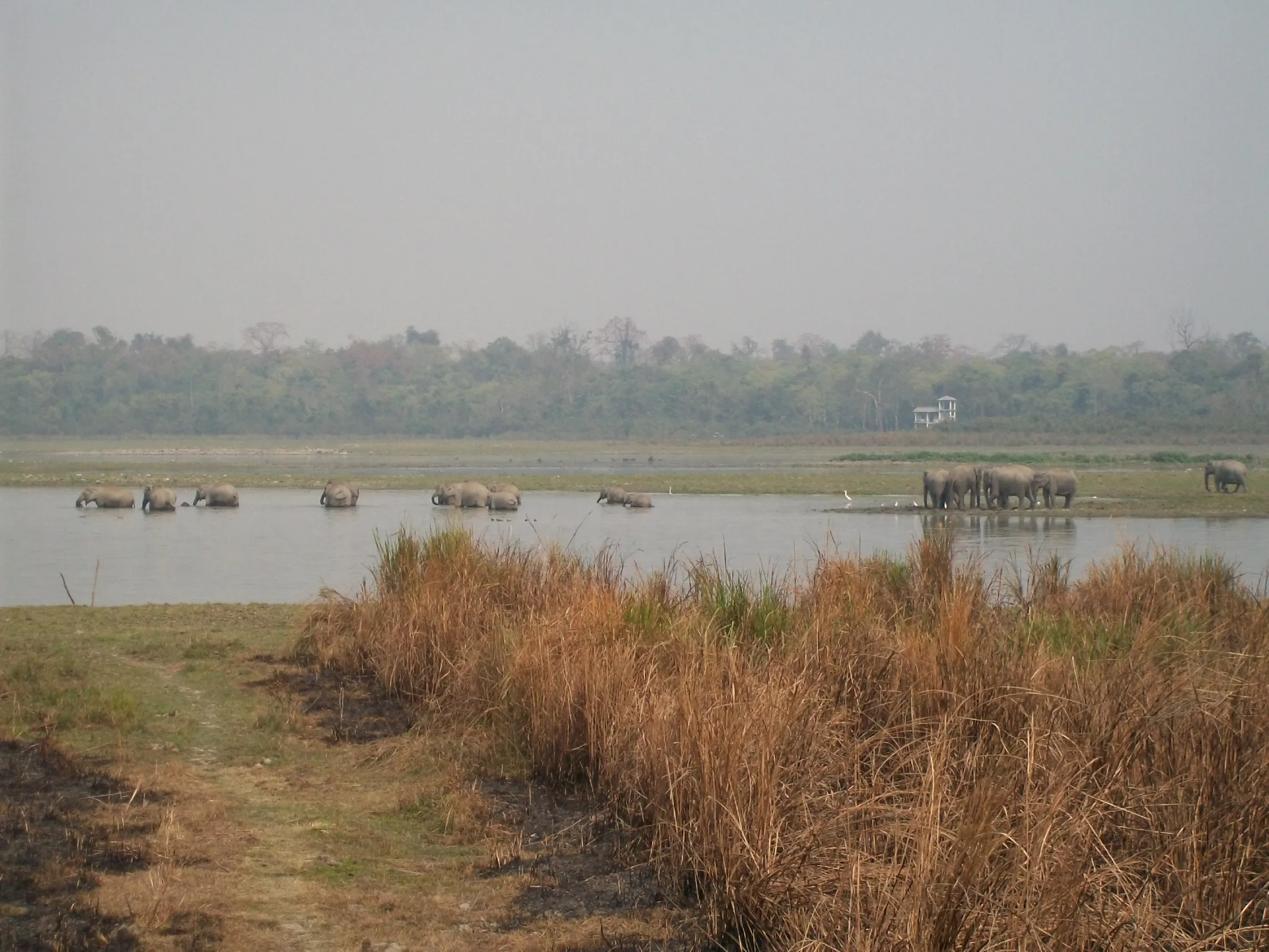 Northeast India Experience Wildlife Tour of Assam