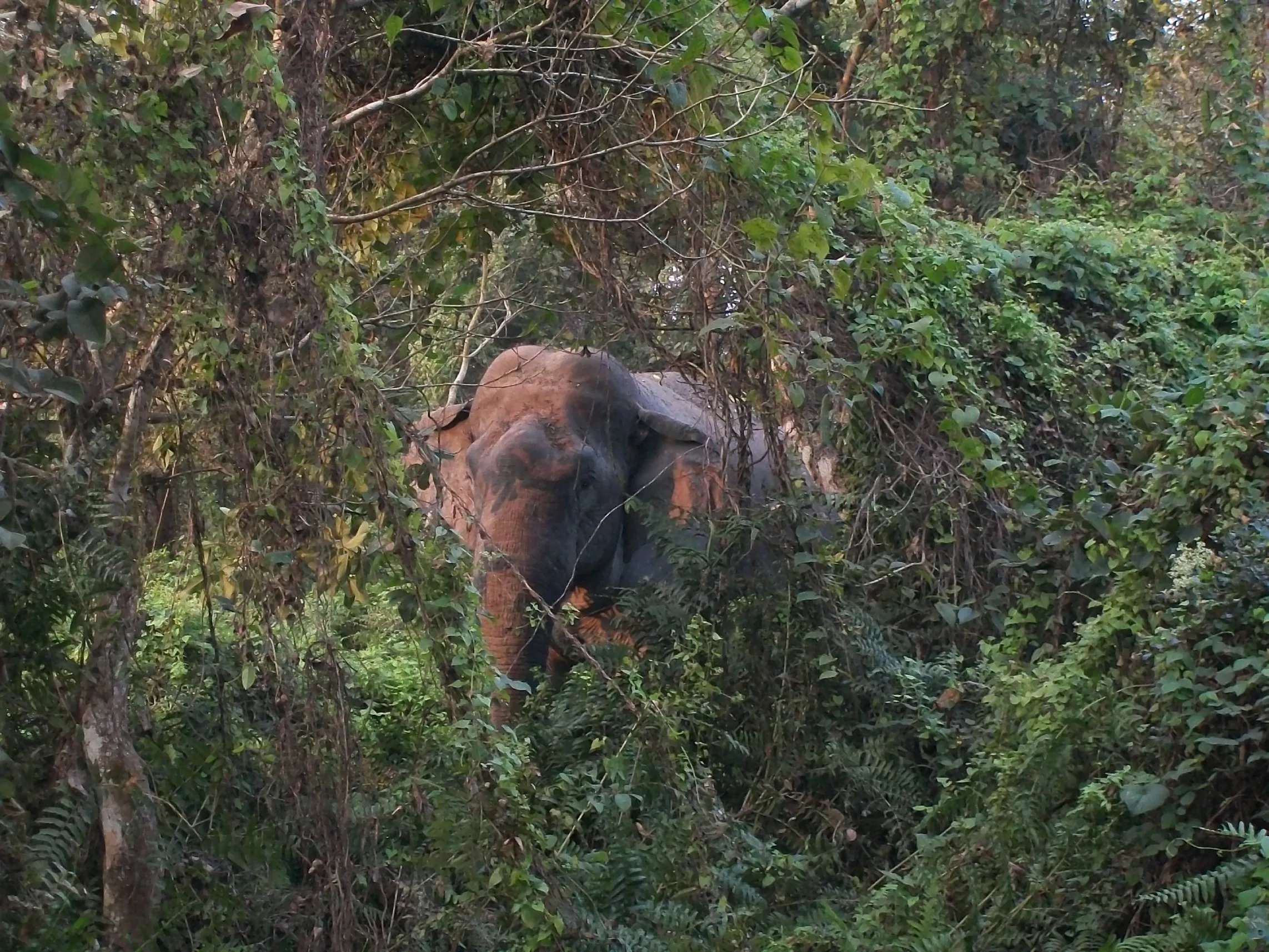 Experiences by Eventours Travels and Wildlife Tours Experiences by Eventours Travels and Wildlife Tours