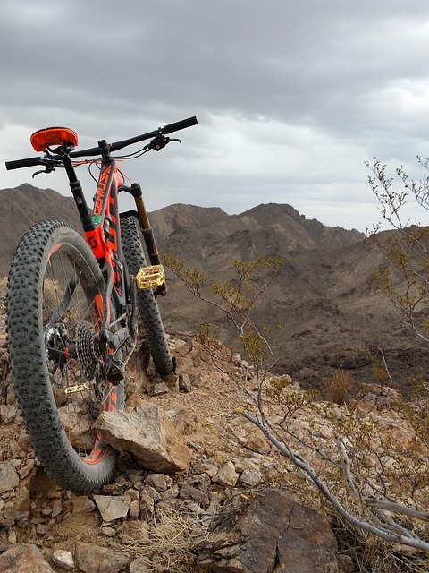 cycling, mountain biking, nature, adventure, outdoors, bikes, wilderness, explore, travel, brown bike, mountain biking, mountain biking, mountain biking, mountain biking, mountain biking