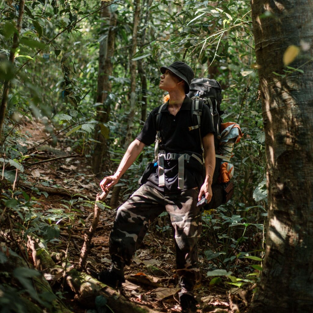 A young man explores a lush tropical forest, enjoying an adventure with a backpack.
