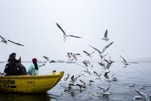 People on a boat observe seagulls over the Ganges River in Varanasi